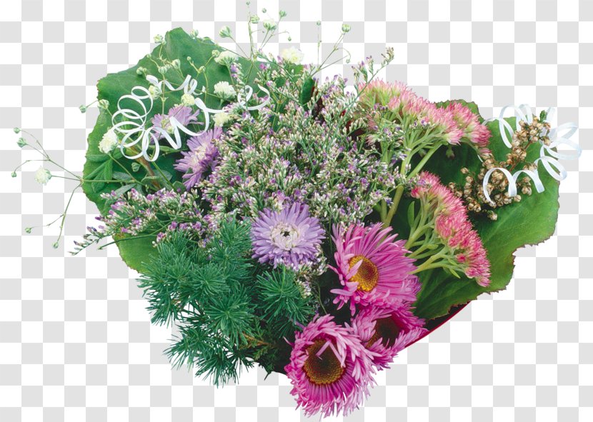 Floral Design Chrysanthemum Cut Flowers Flower Bouquet - Carnation Transparent PNG