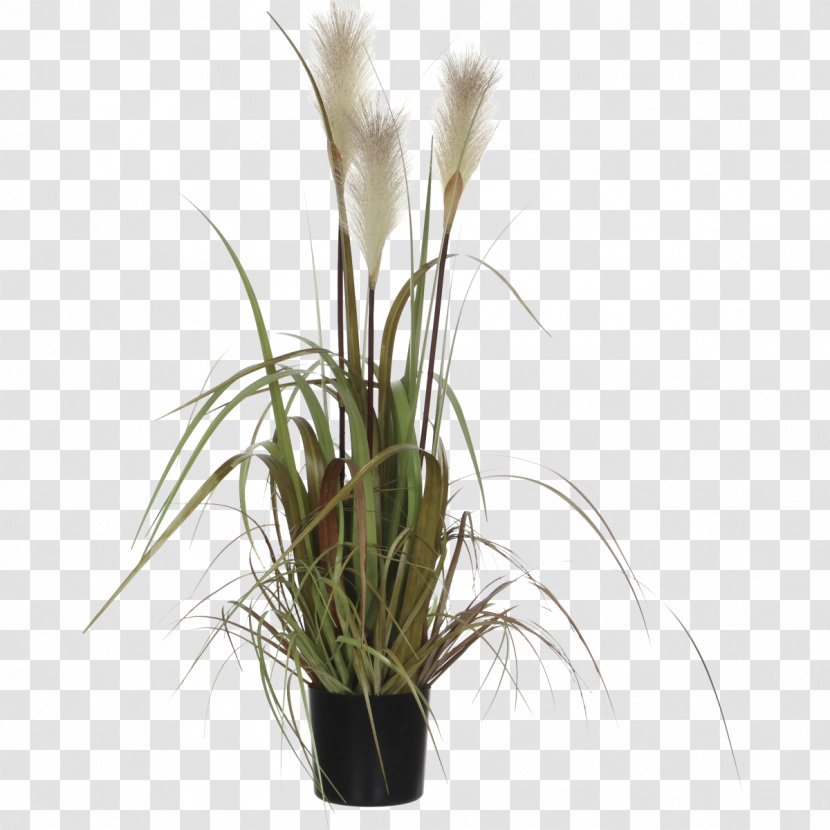 Plastic Flowerpot Grass Mica Garden Transparent PNG
