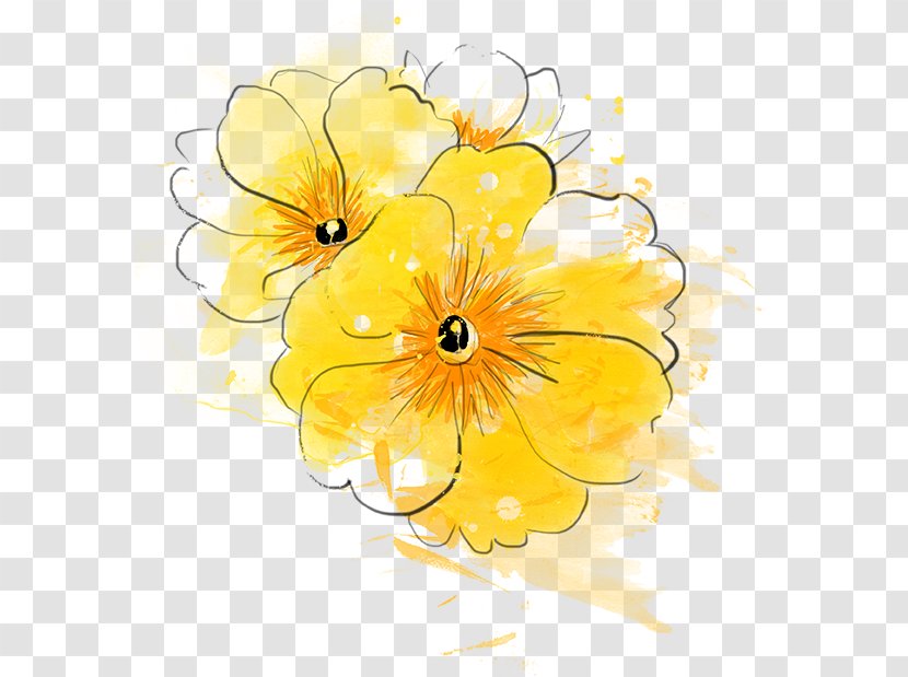 Floral Design Cut Flowers - Common Sunflower - Encre Transparent PNG