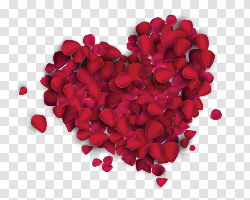 Instituto De Recreacion Los Trabajadores Valentine's Day Gift Love IRTRA - Petal - Senses Transparent PNG