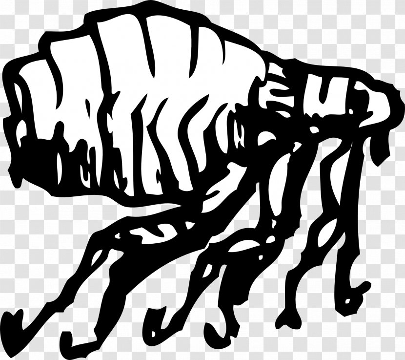 Dog Flea Human - Arthropod Mouthparts - Parasitic Fleas Transparent PNG