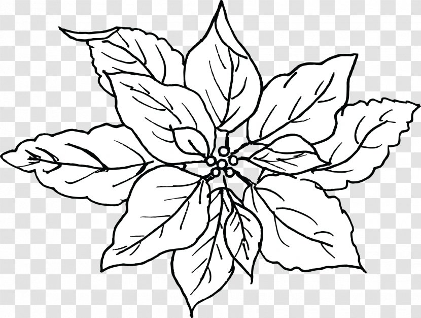 Floral Design /m/02csf Drawing Leaf - Artwork - The Flower Fairy Transparent PNG