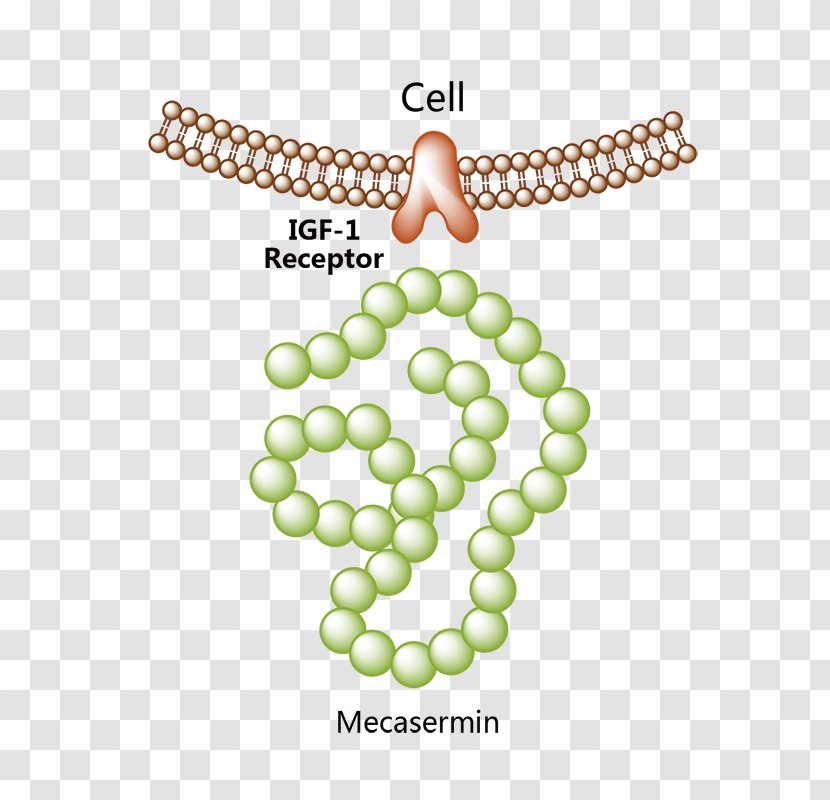 Follicle-stimulating Hormone Pharmaceutical Drug Biosimilar Bone Morphogenetic Protein 2 Follitropin Beta - Text - Recombinant Growth Transparent PNG