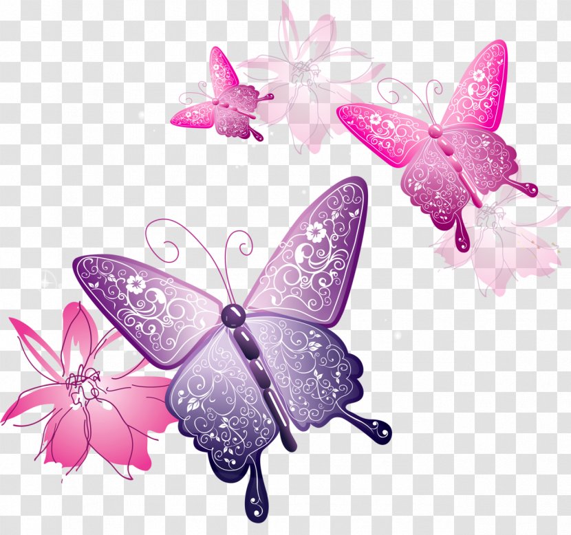 Butterfly Clip Art - Insect - Transparent Decorative Clipart Transparent PNG