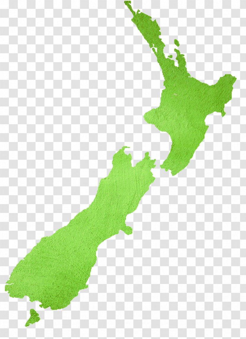 Hastings Ogle Map North Island - Leaf - Green New Zealand Transparent PNG