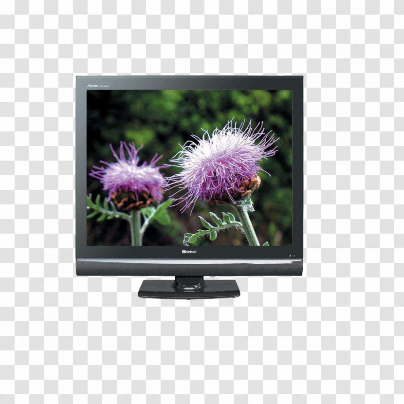 Television Hisense Home Appliance - Screen - TV Transparent PNG