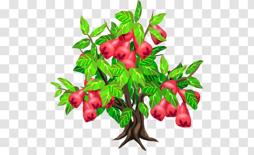 Java Apple Fruit Tree Strawberry - Plant - Wax Transparent PNG