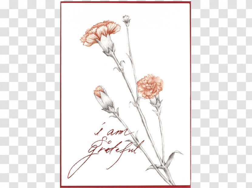 Floral Design Paper Carnation Cut Flowers - Tree - Parents Day Transparent PNG