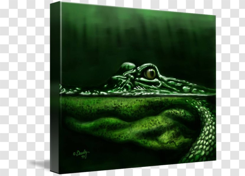 Amphibian Gallery Wrap Alligator Canvas Art Transparent PNG