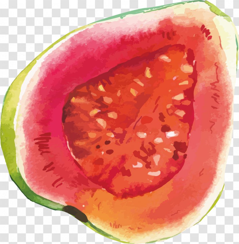 Watermelon Fruit - Food - Vector Hand-painted Delicious Melon Transparent PNG