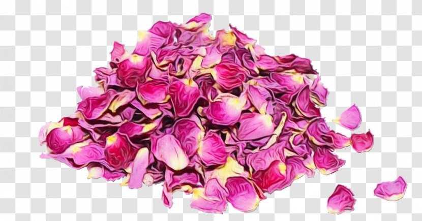 Pink Flower Cartoon - Cut Flowers - Perennial Plant Hydrangea Transparent PNG