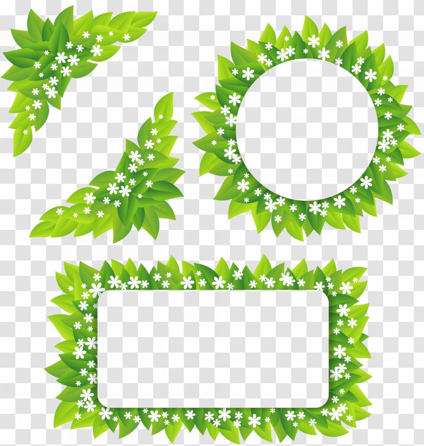 Leaf Green White - Royaltyfree - Grass Edge Transparent PNG