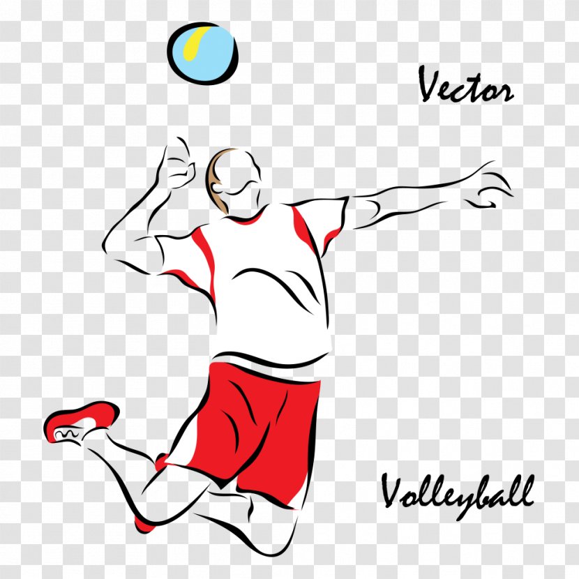 Volleyball Sport Euclidean Vector Illustration - Area - Players Transparent PNG