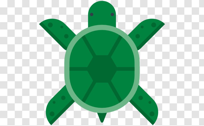 Sea Turtle Transparent PNG