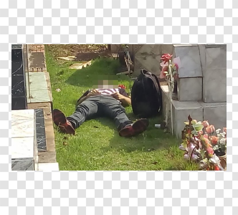 Cemetery Grave Rondonópolis Man Death - Heart Transparent PNG