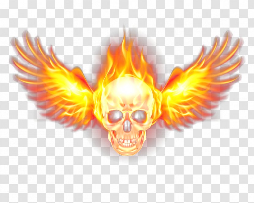 Cool Flame Fire - Skull - Flames Wings Transparent PNG
