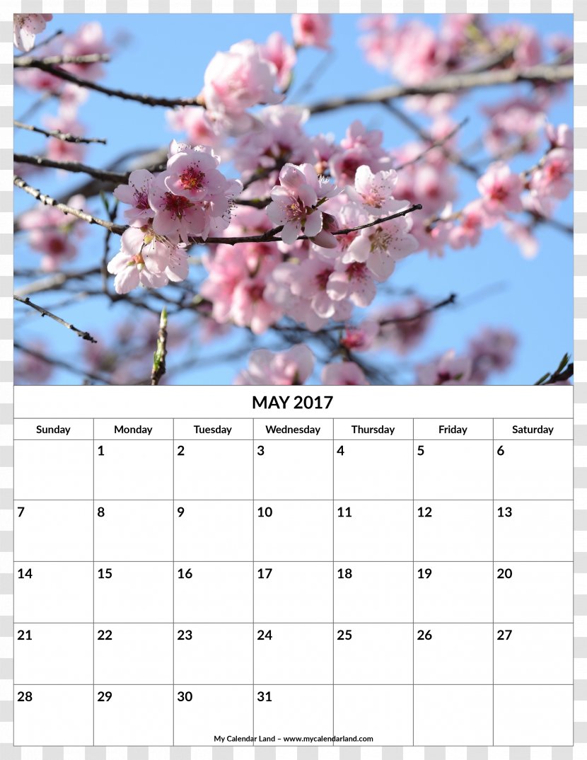Calendar No Ga Садница To - Floweres Transparent PNG