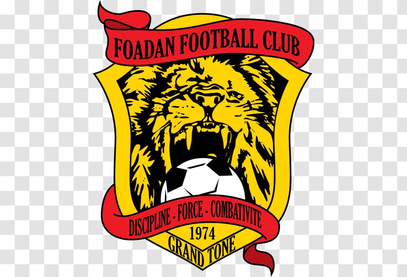 Foadan FC Lomé Togolese Championnat National Dynamic Togolais Dapaong - Lom%c3%a9 - Football Transparent PNG