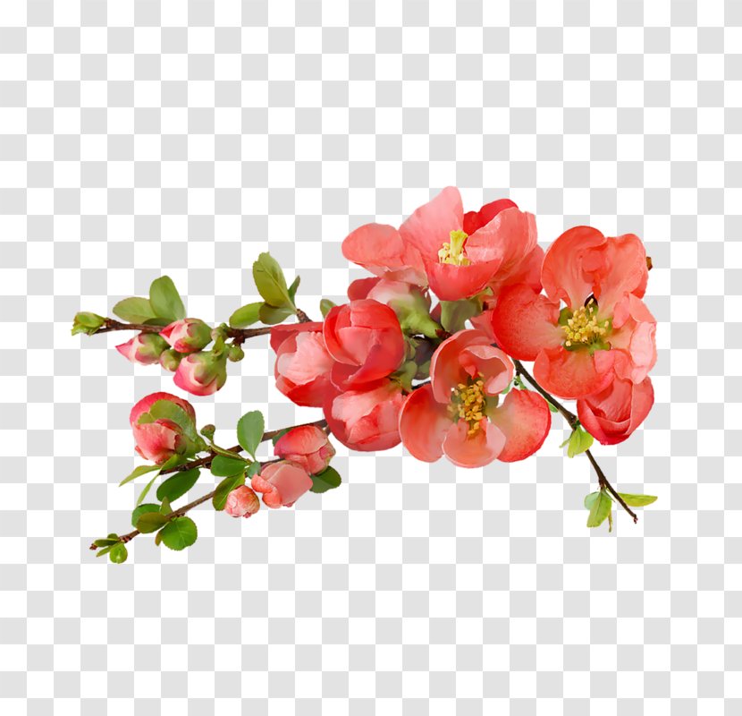 Flower Bouquet Good Rose God - Life - Watercolor Flowers Transparent PNG