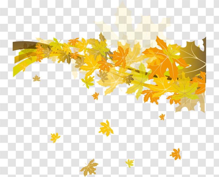 CorelDRAW Template - Advertising - Beautiful Autumn Leaves Transparent PNG