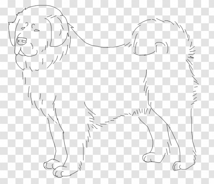 Dog Breed Puppy Whiskers Sketch - Tibetan Mastiff Transparent PNG
