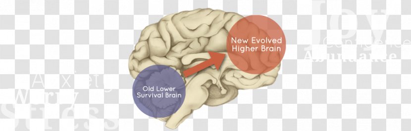 Brain Neurology Body Jewellery Ear Jaw - Silhouette - Limitless Movement Transparent PNG