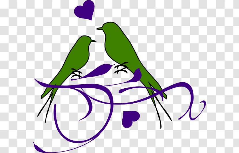 Lovebird Clip Art - Artwork - Bird Transparent PNG