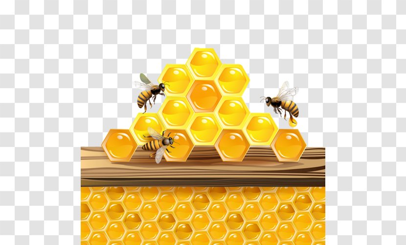 Western Honey Bee Honeycomb Insect Transparent PNG