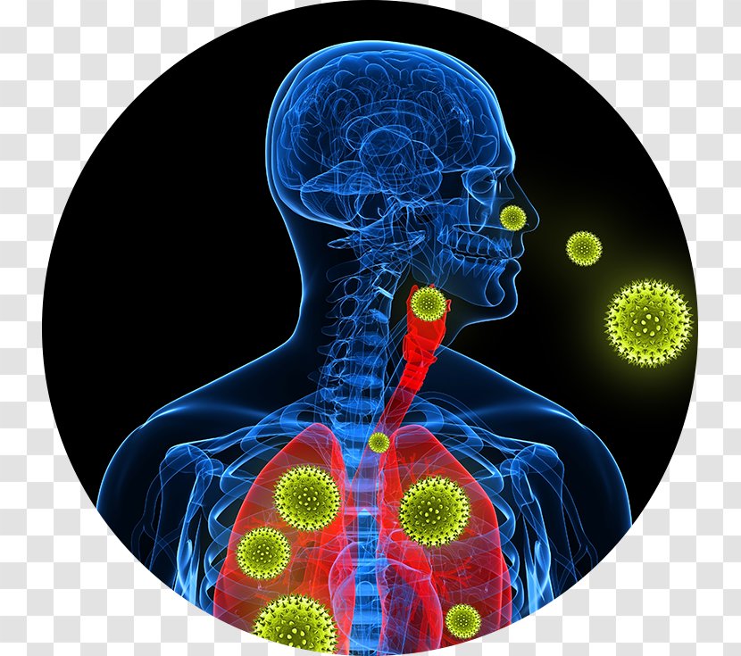 Lung Square Kilometre Array Respiratory Disease Legionellosis Health Transparent PNG