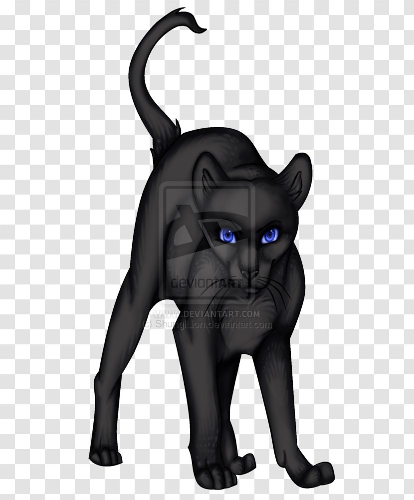 Black Cat Whiskers Art Crowfeather Transparent PNG