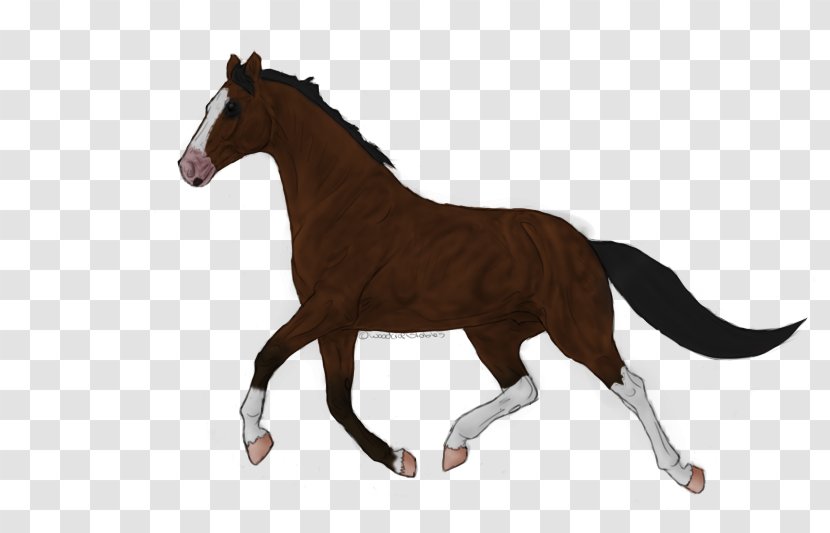 Foal Dog Stallion Mustang Mare - Pet Transparent PNG