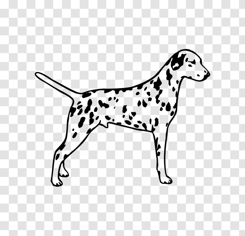 Dalmatian Dog Puppy Bull Terrier The 101 Dalmatians Musical Clip Art - One Hundred And Transparent PNG