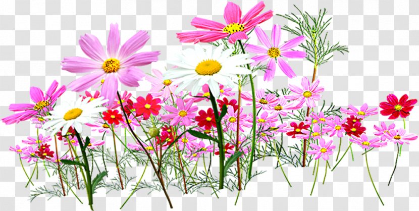 Flower Garden Cut Flowers Clip Art - Plant - Small Transparent PNG