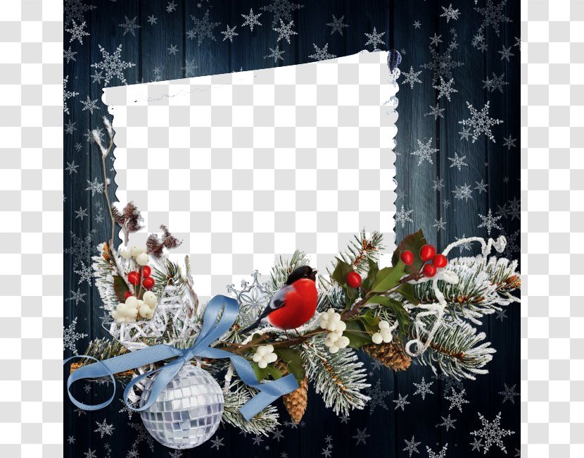 New Year Christmas Holiday Greeting Card Wallpaper - Years Eve - Pine Seeds Snowflake Decoration Material Transparent PNG