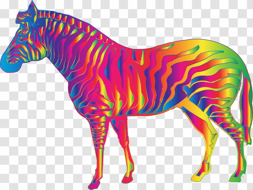 Mustang Quagga Mane Foal Clip Art - Mammal - Zebra Themed Transparent PNG