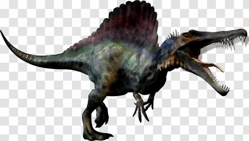 Tyrannosaurus Dinosaur Size Transparency - Extinction Transparent PNG