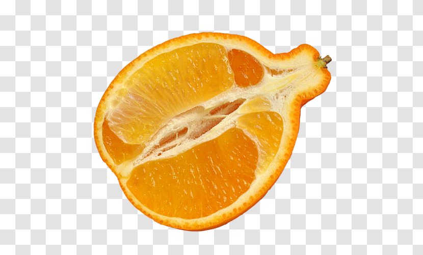 Tangelo Vegetarian Cuisine Valencia Orange Peel Transparent PNG