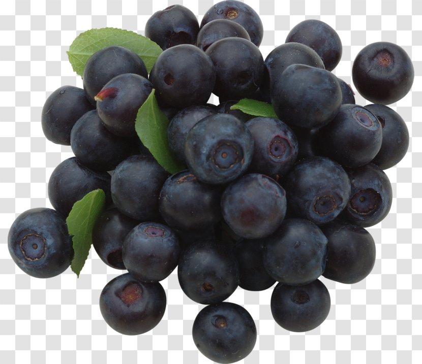 Bilberry Fruit European Blueberry - Grape Seed Extract Transparent PNG