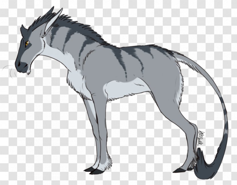 Mane Foal Stallion Mustang Pony - Line Art Transparent PNG