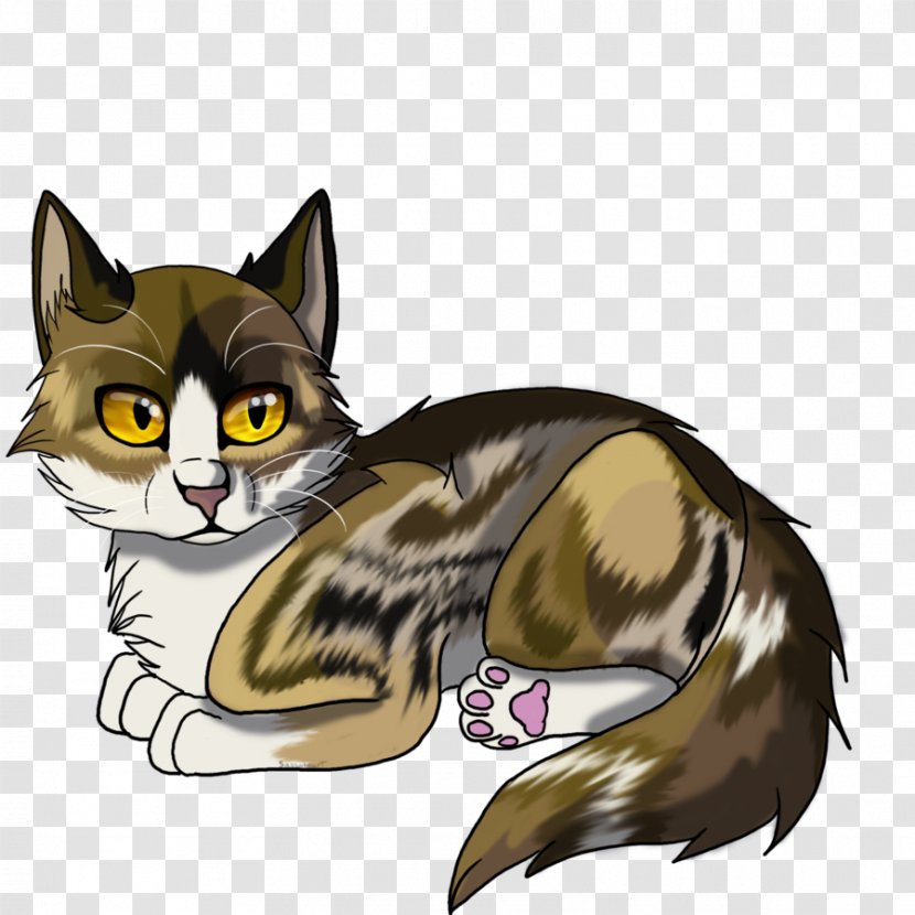 Kitten Whiskers Domestic Short-haired Cat Tabby - Carnivoran Transparent PNG