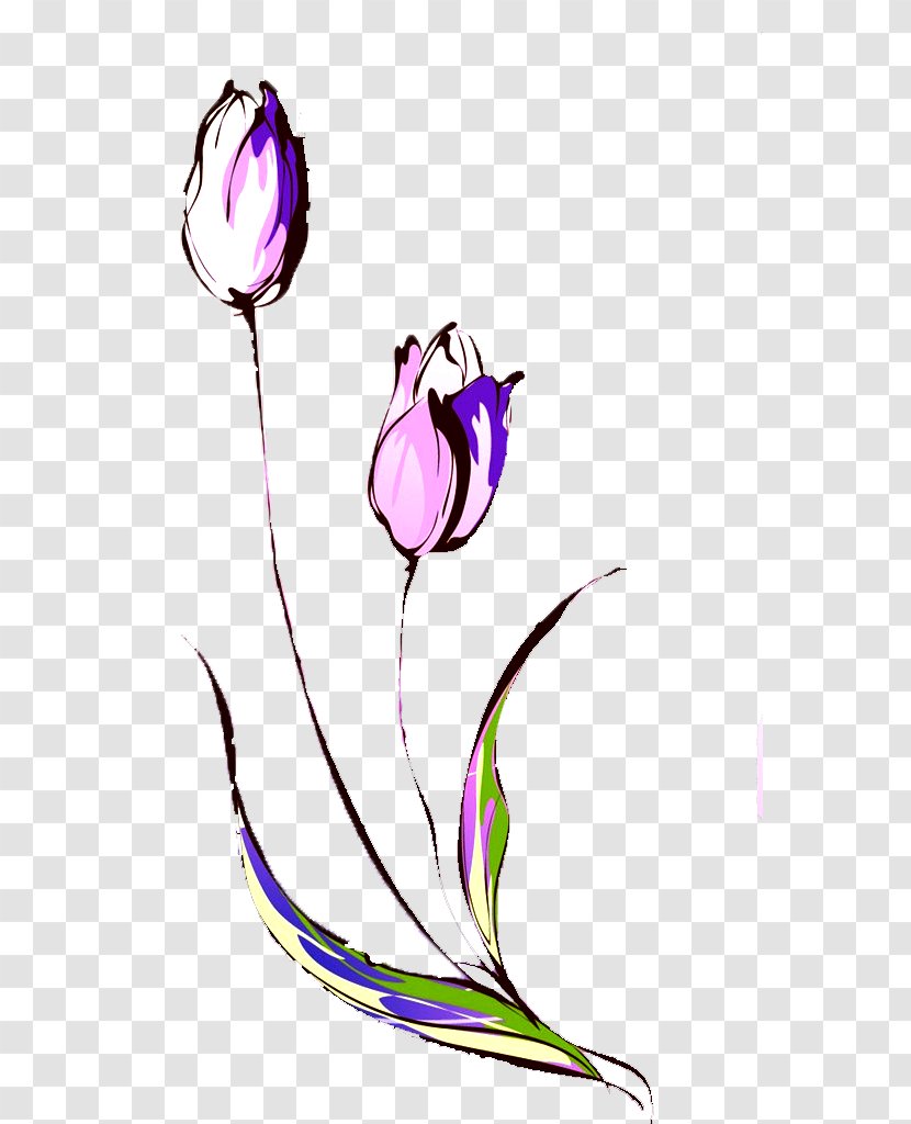 Tulip Drawing Flower Sticker Wallpaper - Violet - Hand-painted Transparent PNG