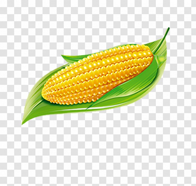 Maize Food - Corn Kernels Transparent PNG