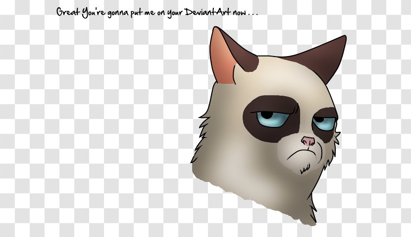 Whiskers Kitten Grumpy Cat Art - Cartoon Transparent PNG