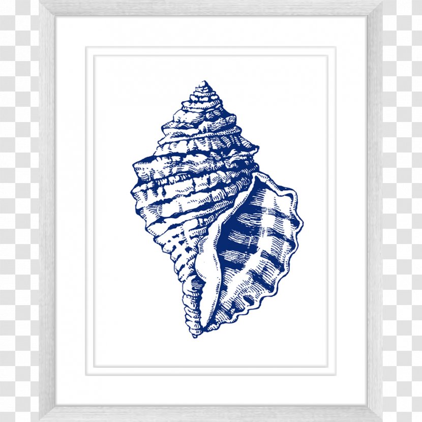 Art Minimalism Seashell Beach - Organism Transparent PNG