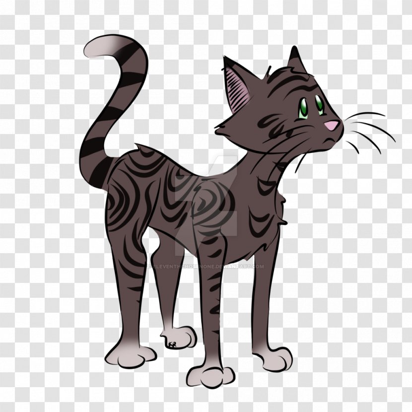 Whiskers Kitten Domestic Short-haired Cat Tabby - Like Mammal Transparent PNG