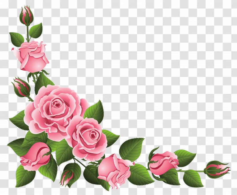 Rosa Chinensis Flower Pink Clip Art - Rose Order Transparent PNG