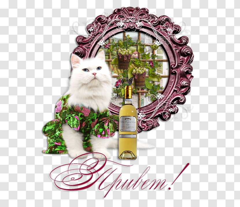 Whiskers Kitten Cat Christmas Ornament Floral Design Transparent PNG