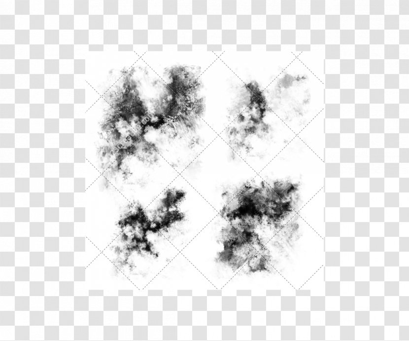 Drawing Brush Adobe Photoshop Elements Painting - Plant Transparent PNG