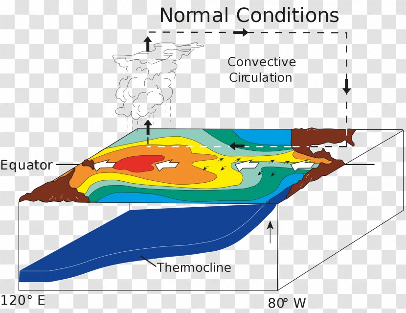 El Niño–Southern Oscillation La Niña Indeks Oscylacji Południowej Sea Surface Temperature - Wind Transparent PNG