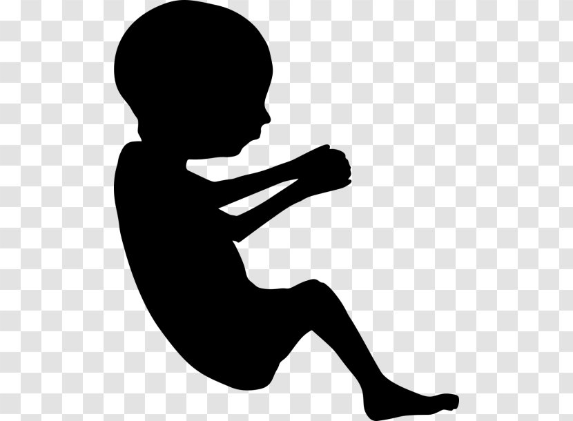 Fetus Pregnancy Infant Silhouette Clip Art Transparent PNG